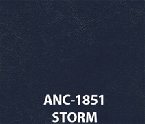 Anchor Storm