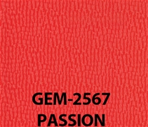 Gemini Passion