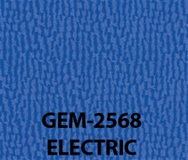 Gemini Electric