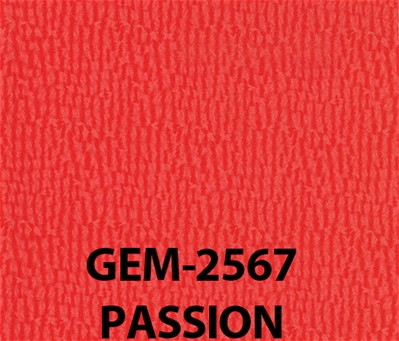 Gemini Passion